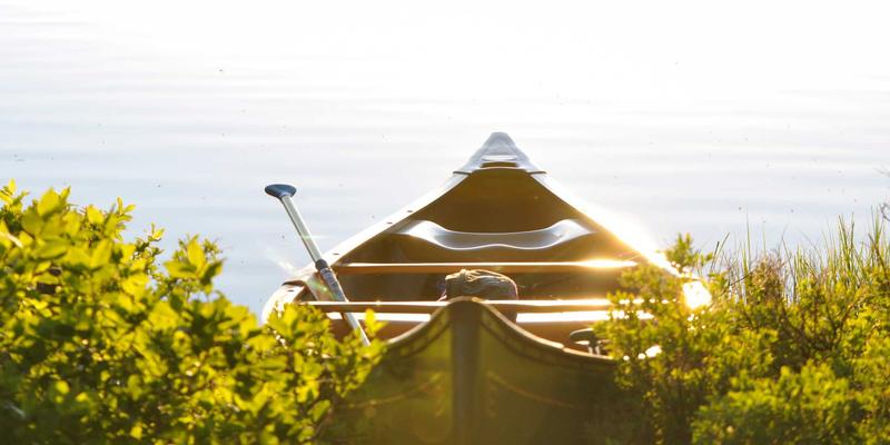 光影交织的科技社区：武汉光谷如何用创新生态定义未来