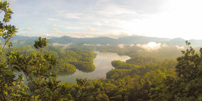 昙华林文艺漫步全攻略：穿越百年建筑、探秘宝藏小店，在江城心脏体验慢生活