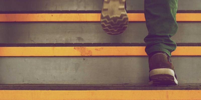 武汉亲子研学宝藏路线:在园博园与自然博物馆,揭秘长江生态、品味江城美食