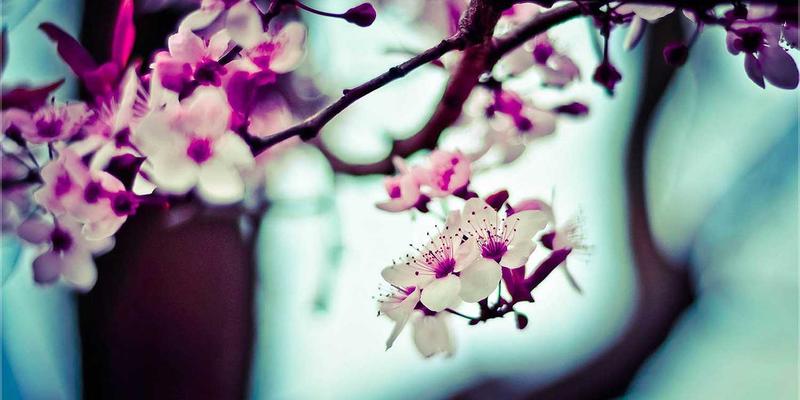 武汉汉正街购物全攻略：本地人私藏的砍价淘货实战技巧，省钱又省心