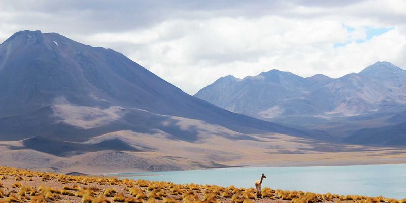 武汉野生动物王国VS东湖海洋世界:亲子周末终极选择指南(附周边美食购物攻略)