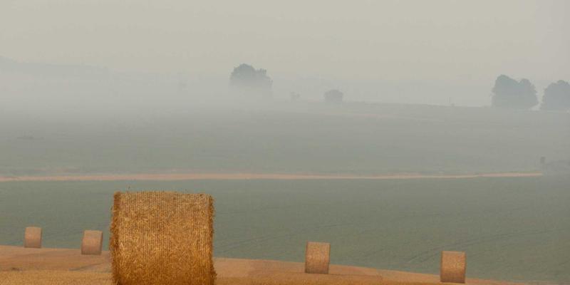 铭记与新生：武汉抗疫纪念馆如何成为社区精神地标与便民生活枢纽