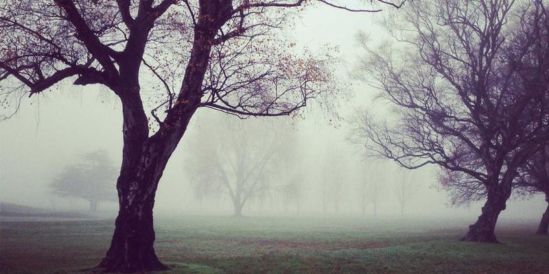 黄鹤楼诗词文化深度游：历代文人墨客笔下的江城意象与实地寻踪